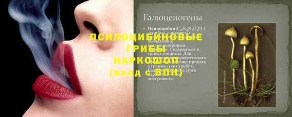 МДПВ Зеленокумск