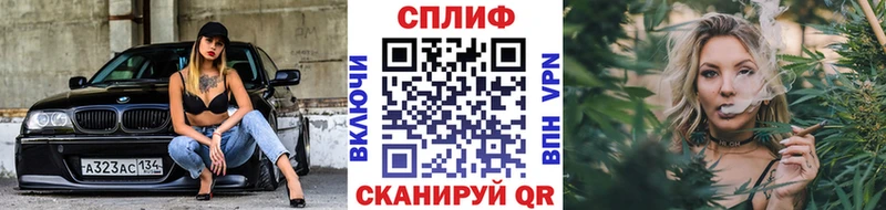Купить где  Черепаново  Конопля гибрид 